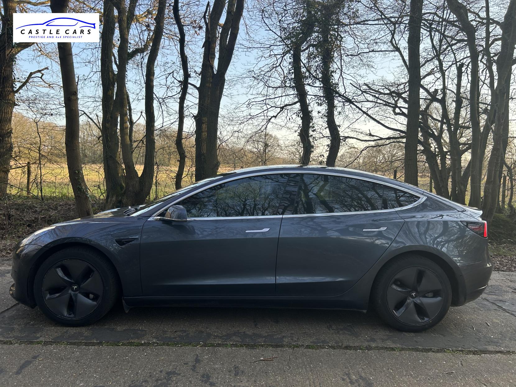 Tesla Model 3 Standard Range Plus Saloon 4dr Electric Auto RWD (241 bhp)